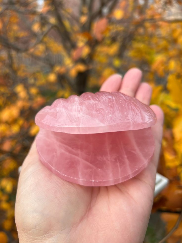 CRYSTAL CLEAR QUARTZ & ROSE QUARTZ SHELL BOWL