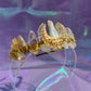 CITRINE CRYSTAL FAIRY CROWN