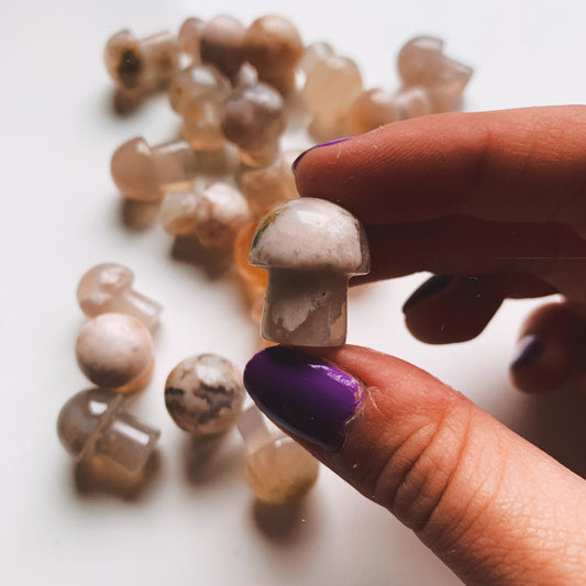 MINI FLOWER AGATE CRYSTAL MUSHROOMS